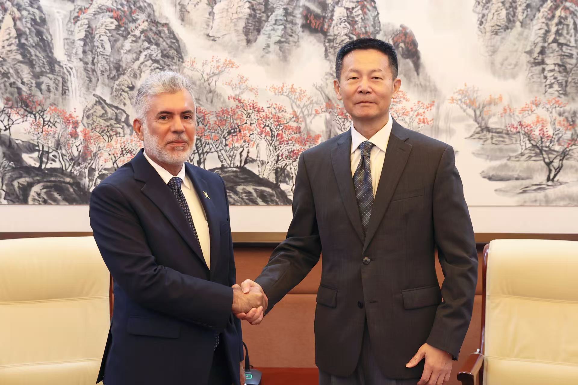 吴清主席会见阿曼金融服务管理局执行总...